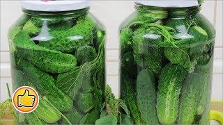 Хрустящие Консервированные Огурцы со Щирицей (Амарант) на Зиму | Pickled Cucumbers with Amaranth