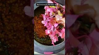Laal Shaag with Red Lentils / Red Amaranth / Red Spinach Recipe लाल साग और मसूर दाल की सब्जी #shorts