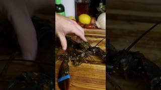Lobster ravioli #lobster #recipe #pasta