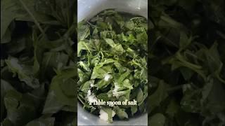 Healthy and nutritious Amaranth leaves |Amaranth leaves Dal | Harive soppu