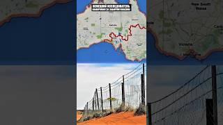Что на самом деле спрятано за забором Австралии