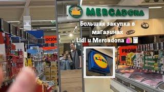 Большая закупка в магазинах Lidl и Mercadona