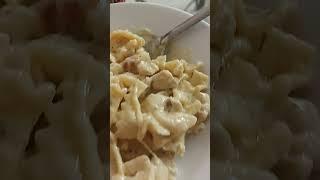Pasta in four cheese sauce
